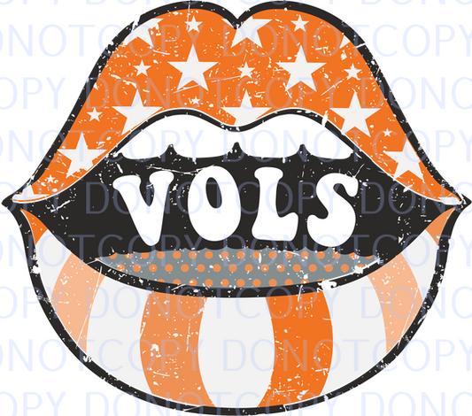 vols mouth .bnb