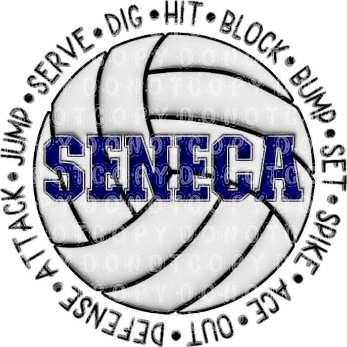 seneca volleyball .bnb