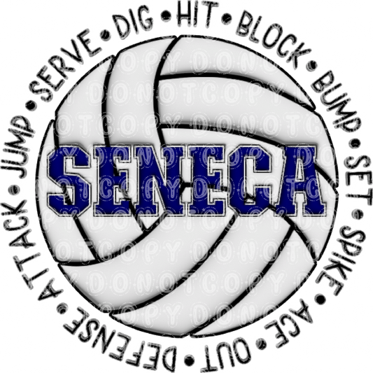 seneca volleyball .bnb