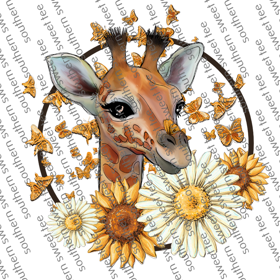 giraffe daisy .bnb
