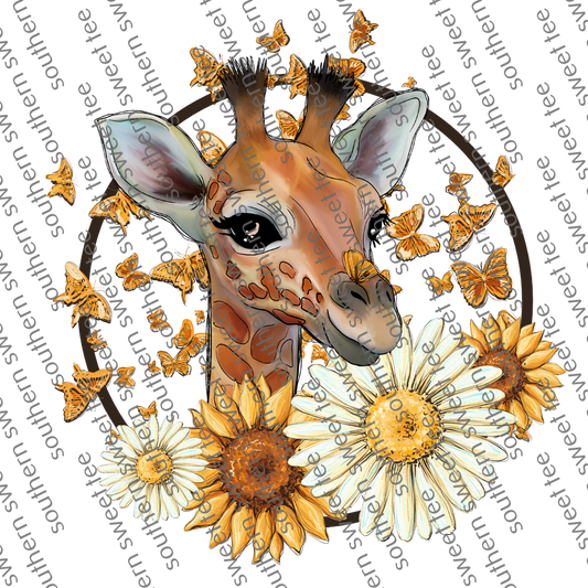 giraffe daisy .bnb