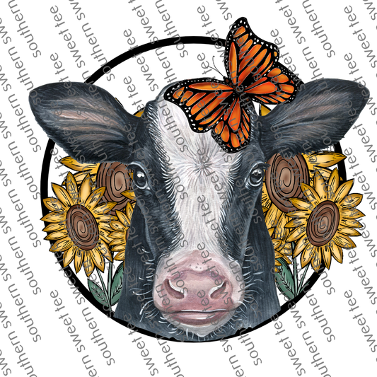 cow sunflower .bnb/mdd