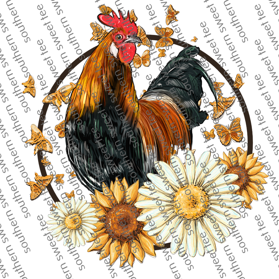 rooster daisy .bnb