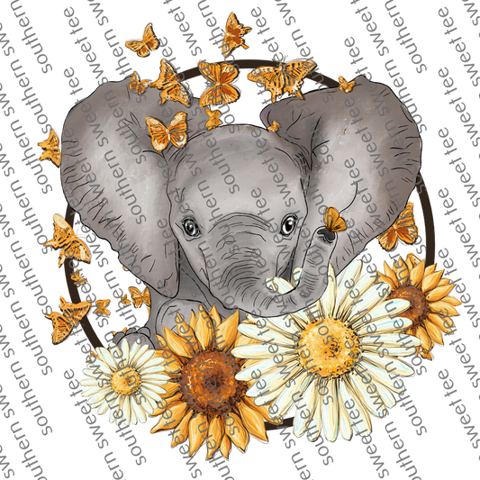 elephant daisy .bnb