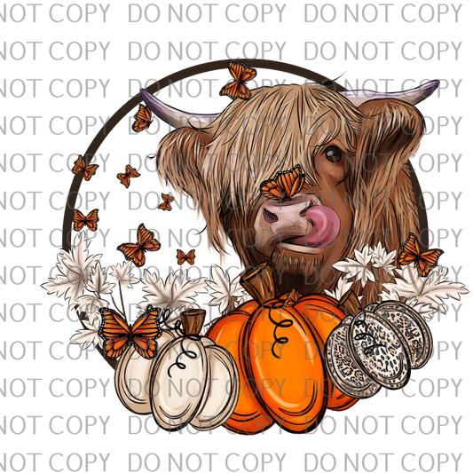 fall highland cow .bnb