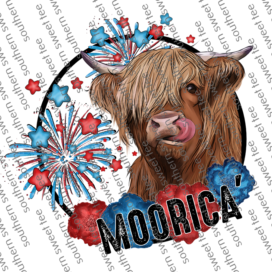 moorica  highland cow. bnb