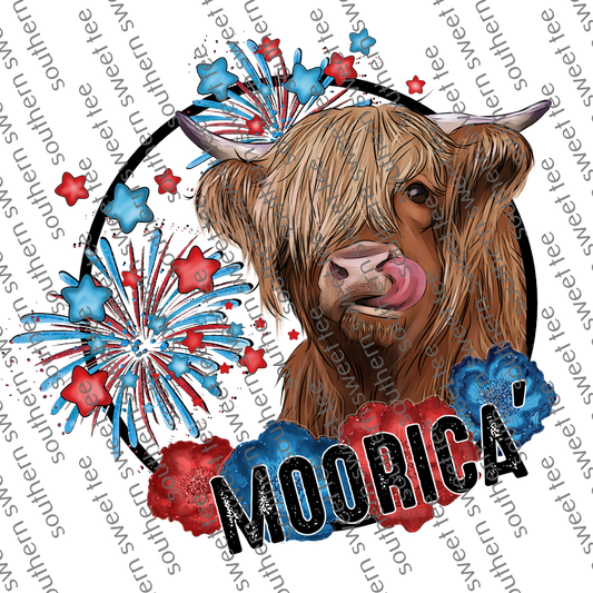 moorica  highland cow. bnb