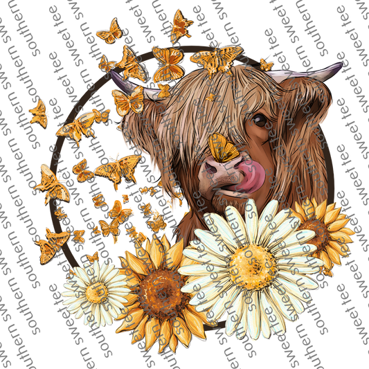 highland cow daisy .bnb