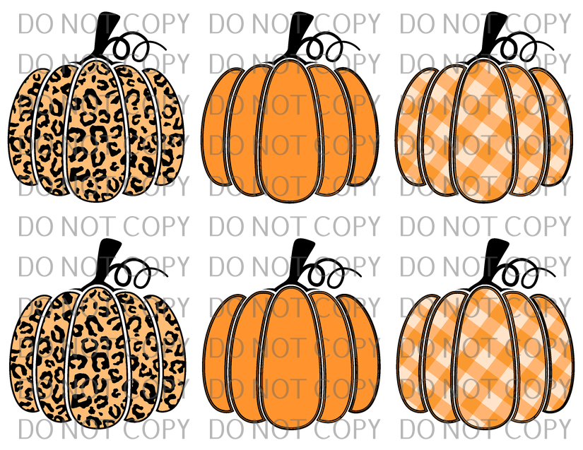pumpkin sleeves .nas