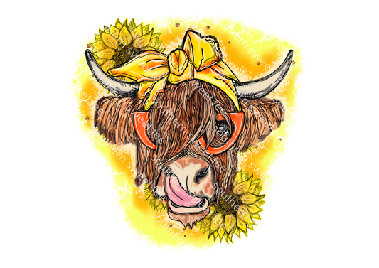 sunflower highland cow .bnb