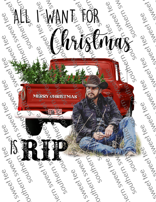 All I want for Christmas is a cowboy .bnb